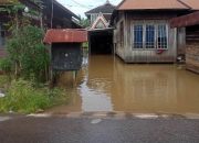 Waspada Banjir, Air Mulai Masuk Sebagian Rumah Warga Tunggul Irang