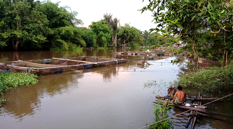 Keramba ikan yang sudah tidak begitu banyak lagi di Desa Mali-mali, Kecamatan Karang Intan, Kabupaten Banjar. (foto: koranbanjar.net)