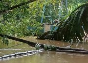 Kabel Power Phonton Intake Terendam, Distribusi Air Bersih di Sebagian Wilayah Simpang Empat Terganggu