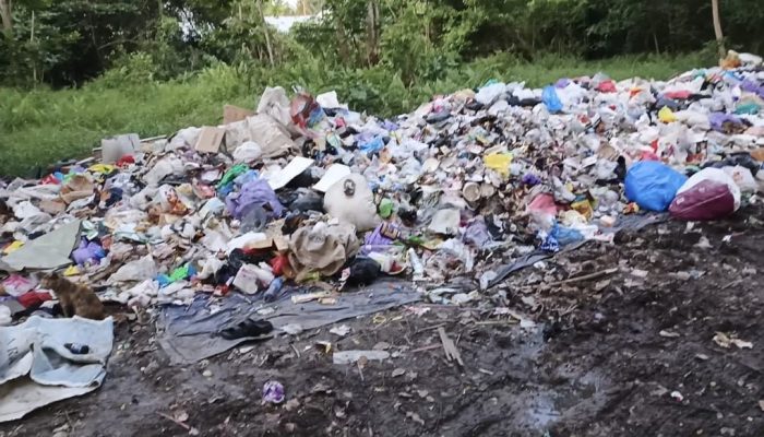 Sempat Mengganggu Proses Belajar Mengajar, TPS Dekat SDN Basirih 8 Ditutup