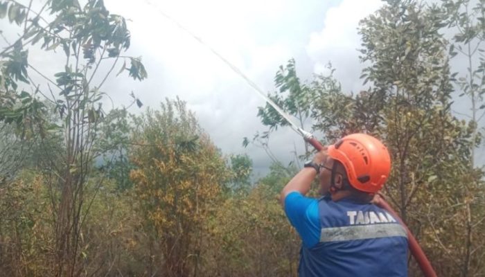 Kalsel Masa Peralihan Menuju Musim Kemarau