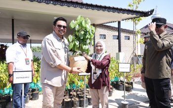 Tanah Bumbu Terima 500 Bibit Tanaman dari Kemenhut RI untuk Ketahanan Pangan