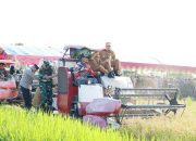 Panen Raya Serentak Bersama Presiden, Bupati Batola Berulang Ucapkan Terima Kasih