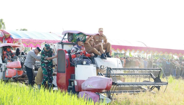 Panen Raya Serentak Bersama Presiden, Bupati Batola Berulang Ucapkan Terima Kasih