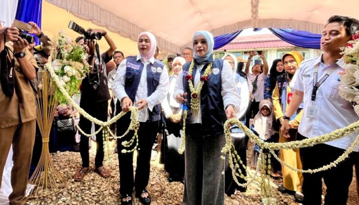 Ellyana Trisya Hasnuryadi Kunjungi Posyandu Janur Kuning Desa Jambu Burung