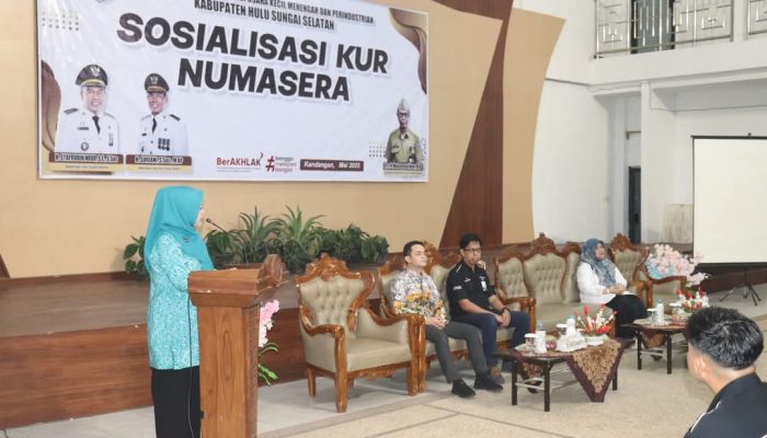 UMKM di HSS Disosialisasikan Kredit Numasera