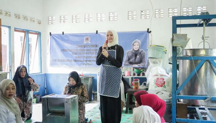 Desy Oktavia Sari Dorong Pemberdayaan Perempuan Lewat Pelatihan Produk Lokal di Kabupaten HSS