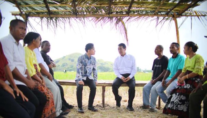 Mentan Amran Dampingi Wapres Gibran ke NTT, Tegaskan Komitmen Terus Dorong Kemajuan Pertanian