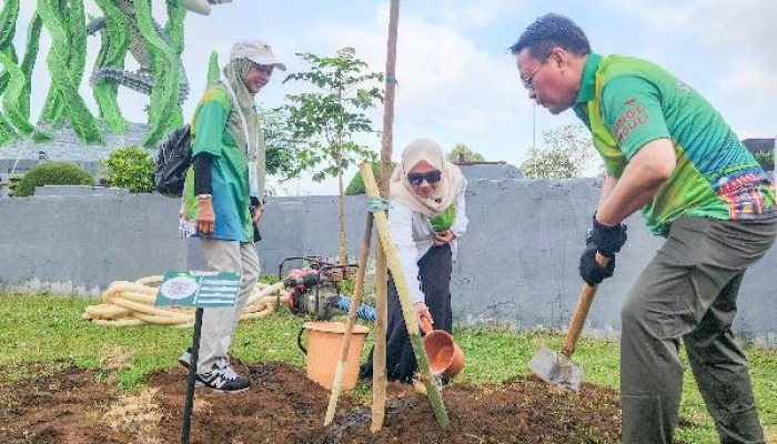 Kota Banjarbaru Partisipasi Penanaman Pohon di Surabaya
