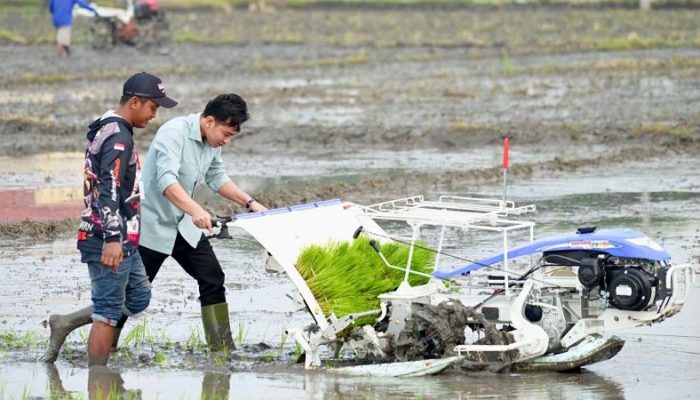 Wapres Gibran dan Mentan Amran Kompak Tanam Padi di Ngawi, Dorong Produksi dan Dukung Kebutuhan Petani