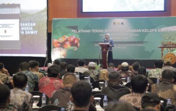 Pelatihan Teknis Budidaya Bagi Pekebun Kelapa Sawit di Kalsel