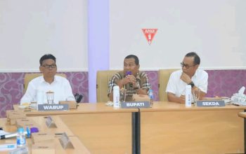 Bupati-Wabup HSS Audiensi Bersama RSUD Hasan Basry Kandangan