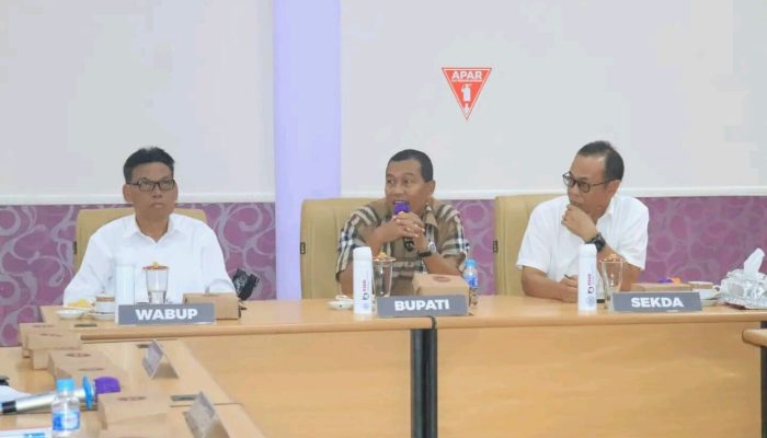 Bupati-Wabup HSS Audiensi Bersama RSUD Hasan Basry Kandangan