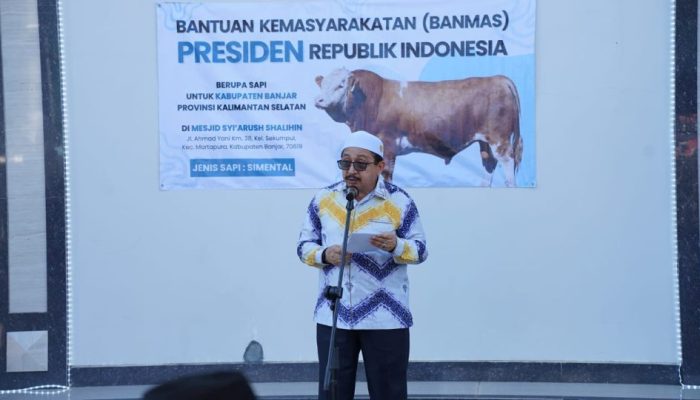 Dua Ekor Hewan Kurban Presiden RI Untuk Kabupaten Banjar