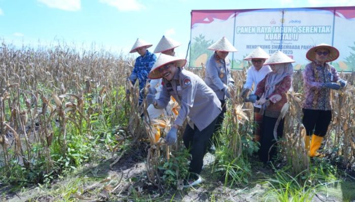 Manfaatkan Lahan Tidur, Supian HK Apresiasi Panen Raya Polda Kalsel