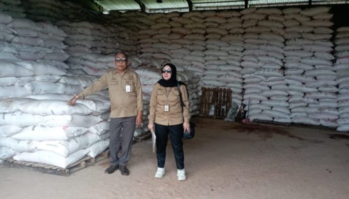 Disdag Kalsel Monitoring Distribusi Pupuk Bersubsidi