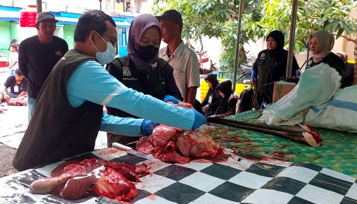 Tim DP3 Temukan 3 Lokasi Kasus Cacing Hati pada Pemotongan Hewan Kurban   