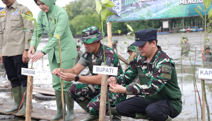 Peringati HUT Ke-67 Kodam VI/Mulawarman, Tanam Mangrove di Kawasan Pesisir Tanah Bumbu