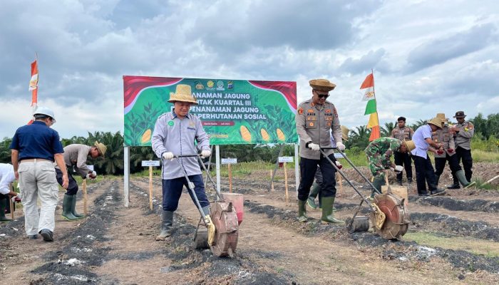 Polres Batola Tanam Lagi Jagung 13,75 Hektare Dukung Swasembada Pangan