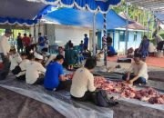 Iduladha 1446 Hijriah, PTAM Intan Banjar Berbagi Kebahagiaan dengan Menyembelih 6 Ekor Hewan Kurban