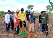Pemetaan batas wilayah Desa Mali-mali dan Sungai Arfat pada waktu yang dilakukan pihak terkait.