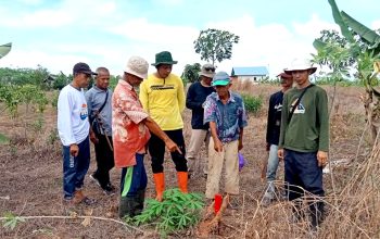 Pemetaan batas wilayah Desa Mali-mali dan Sungai Arfat pada waktu yang dilakukan pihak terkait.