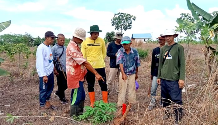 Penyelesaian Sengketa Tapal Batas Desa Mali-mali-Sungai Arfat Dinilai Tidak Jelas