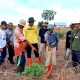 Pemetaan batas wilayah Desa Mali-mali dan Sungai Arfat pada waktu yang dilakukan pihak terkait.