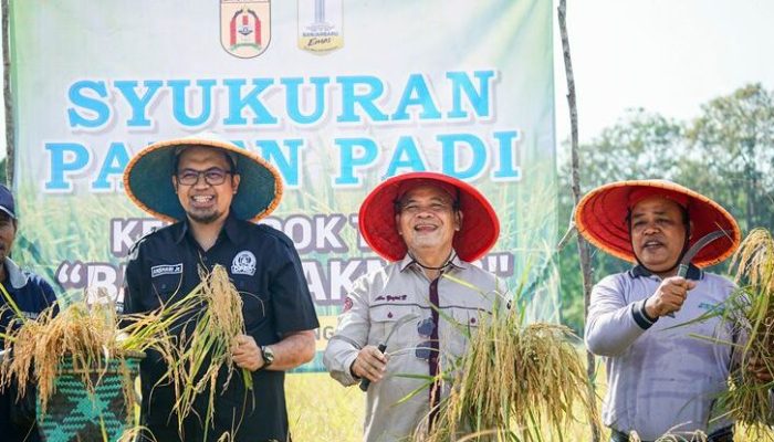 Syukuran Panen Padi Kelompok Tani Bumi Makmur: Mewujudkan Ketahanan Pangan di Banjarbaru